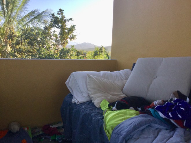 0844DDA1-E64C-4831-9F14-7DCC91D4D7C5