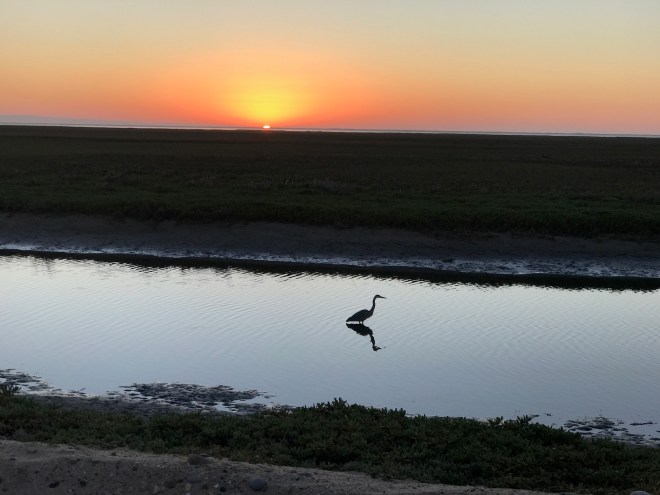 47A2E772-DEA7-44AF-A905-383B0C8AE5D3