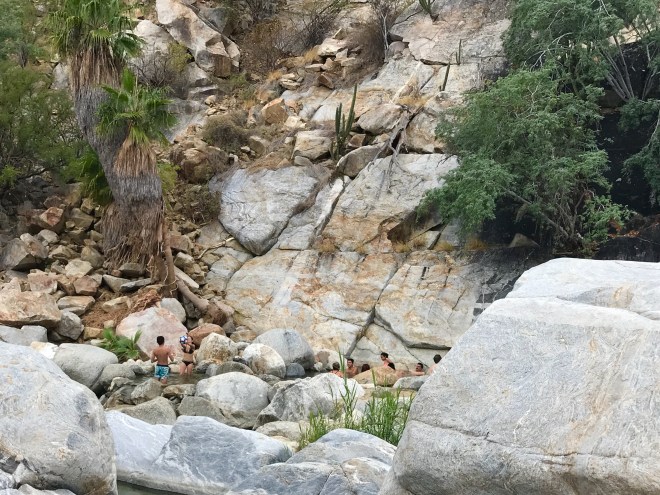 52B8E697-80F7-439D-AAC5-9686051AACC5