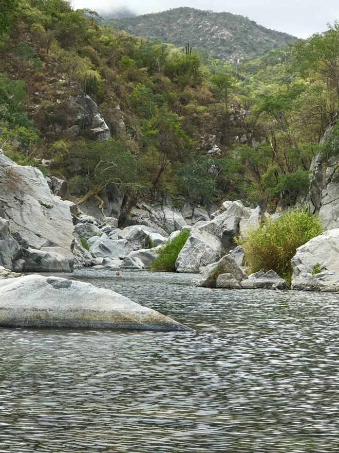 7E422121-10B9-4A5F-9F7D-7B2E64854D13