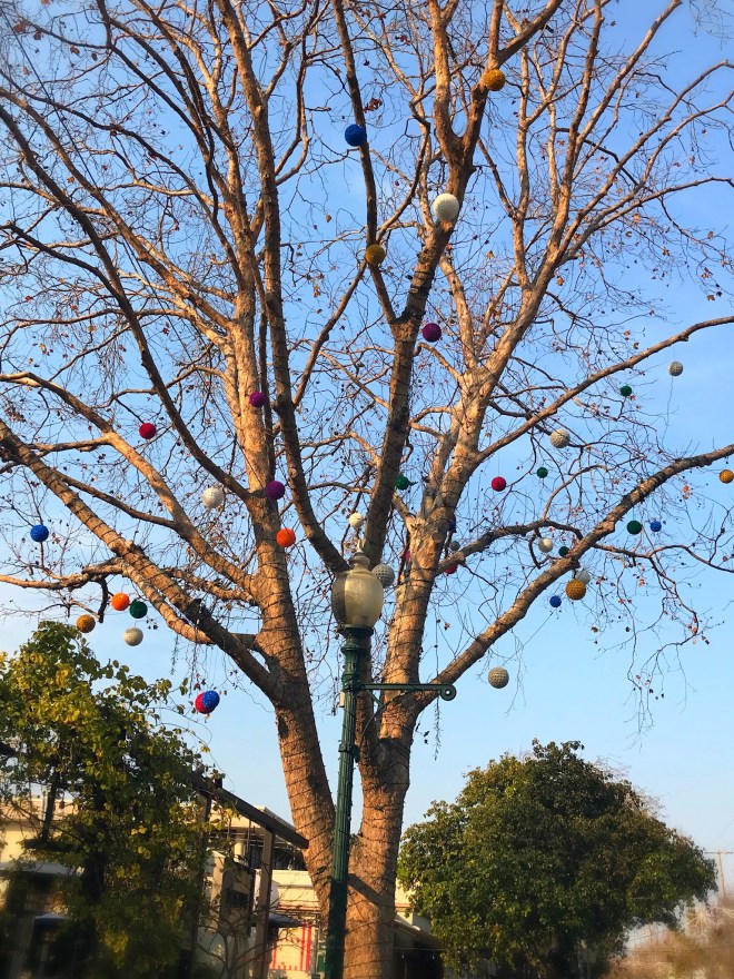 C9CA75C1-D420-4420-BC00-2D90B40BEC18