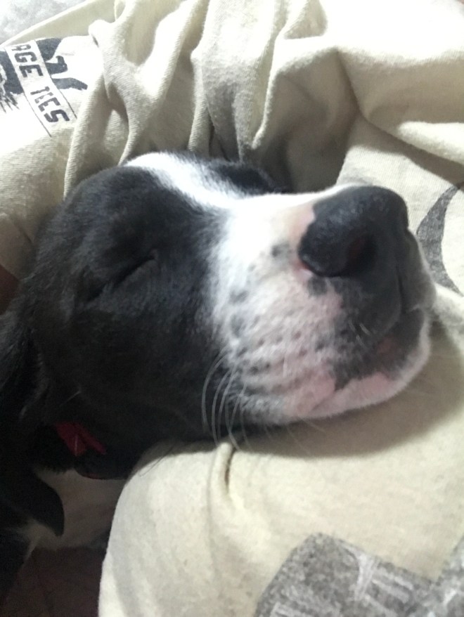 A6F84313-60F6-4A99-98FC-E7F803BF0F2C