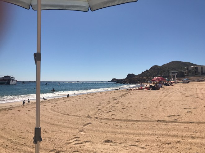 FEF9BD6E-EEF7-4BE1-BC0A-1C3BDF8D34D8