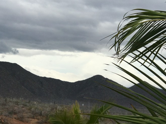 68674D36-3E60-4426-A478-ED6BEA9FCB4D