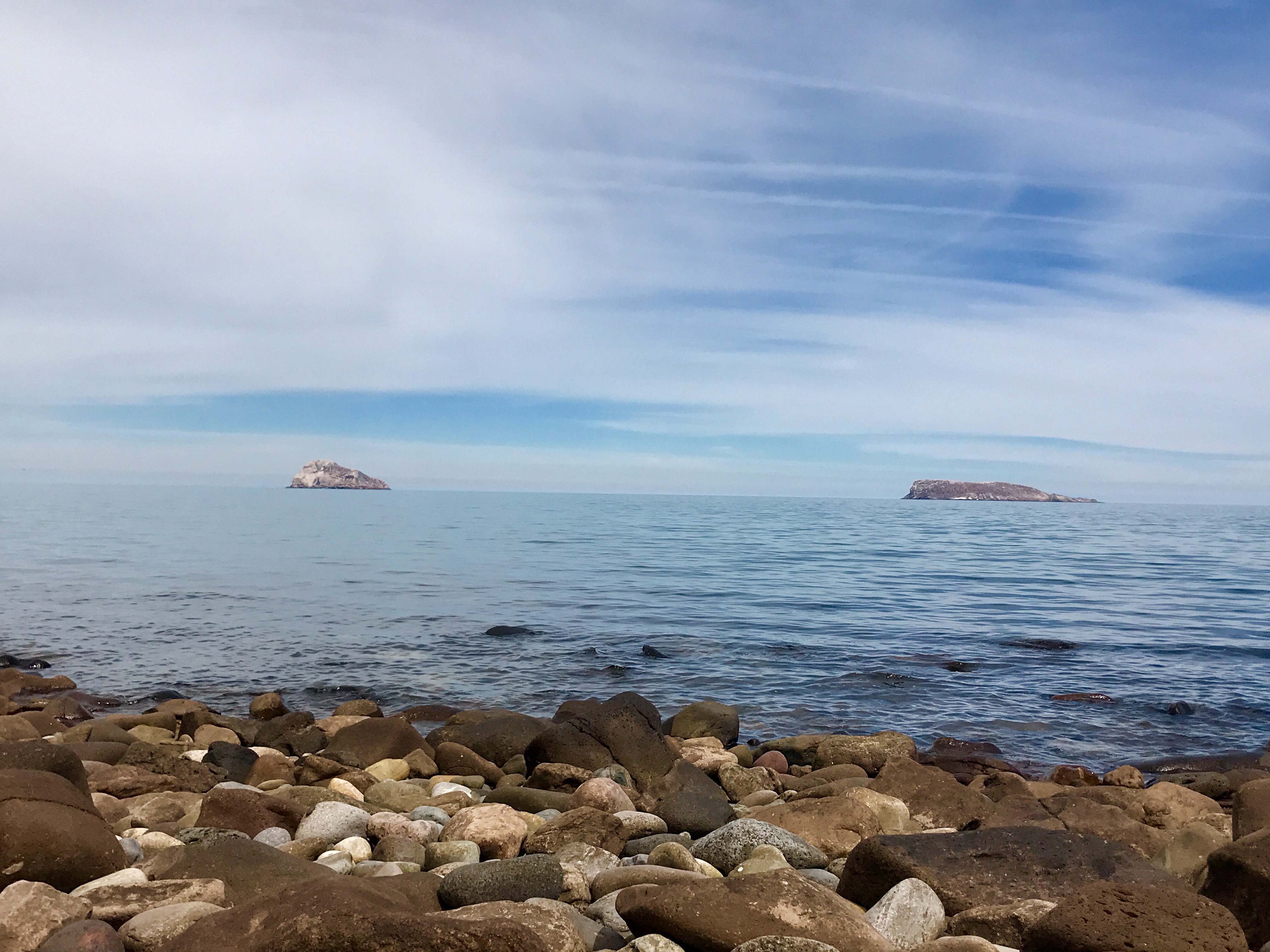 B46D002C-AEA8-4B35-ABB5-7B077F28B9C8