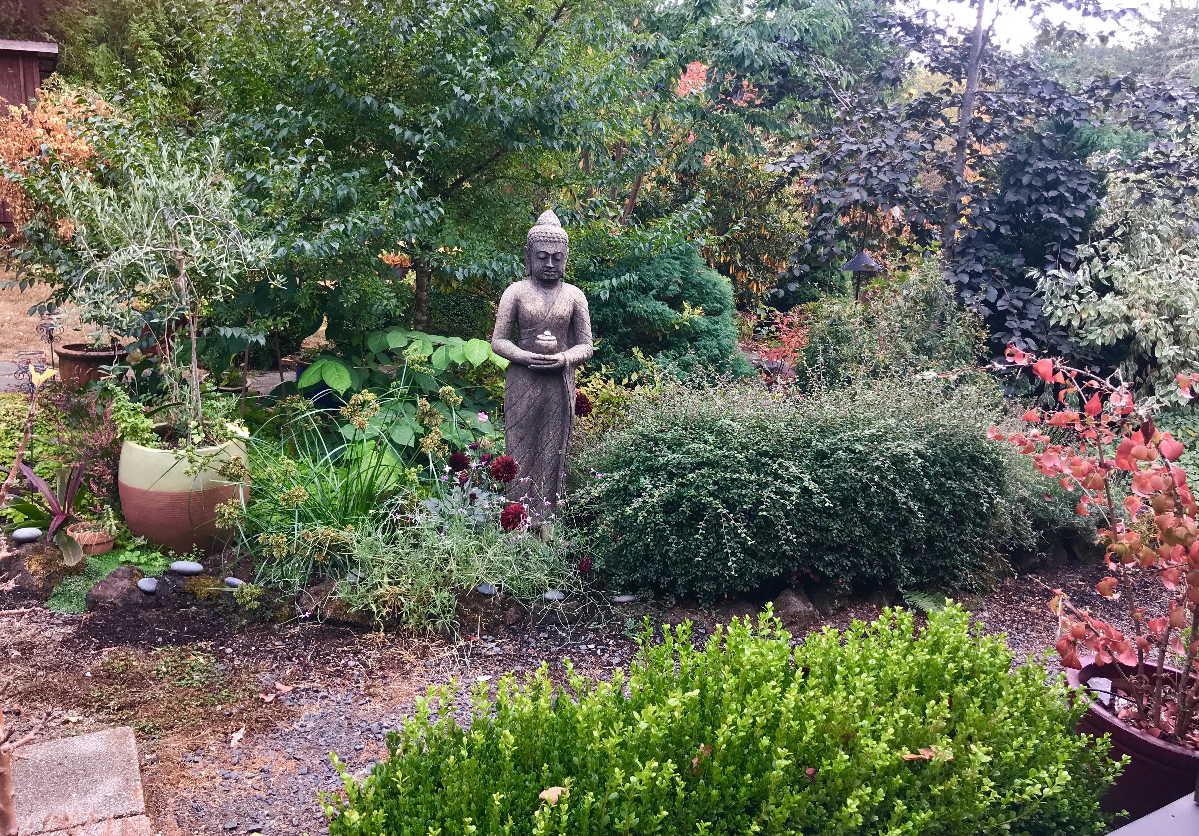 F2C914A5-D75A-4379-8DDE-9AB8859D56AF