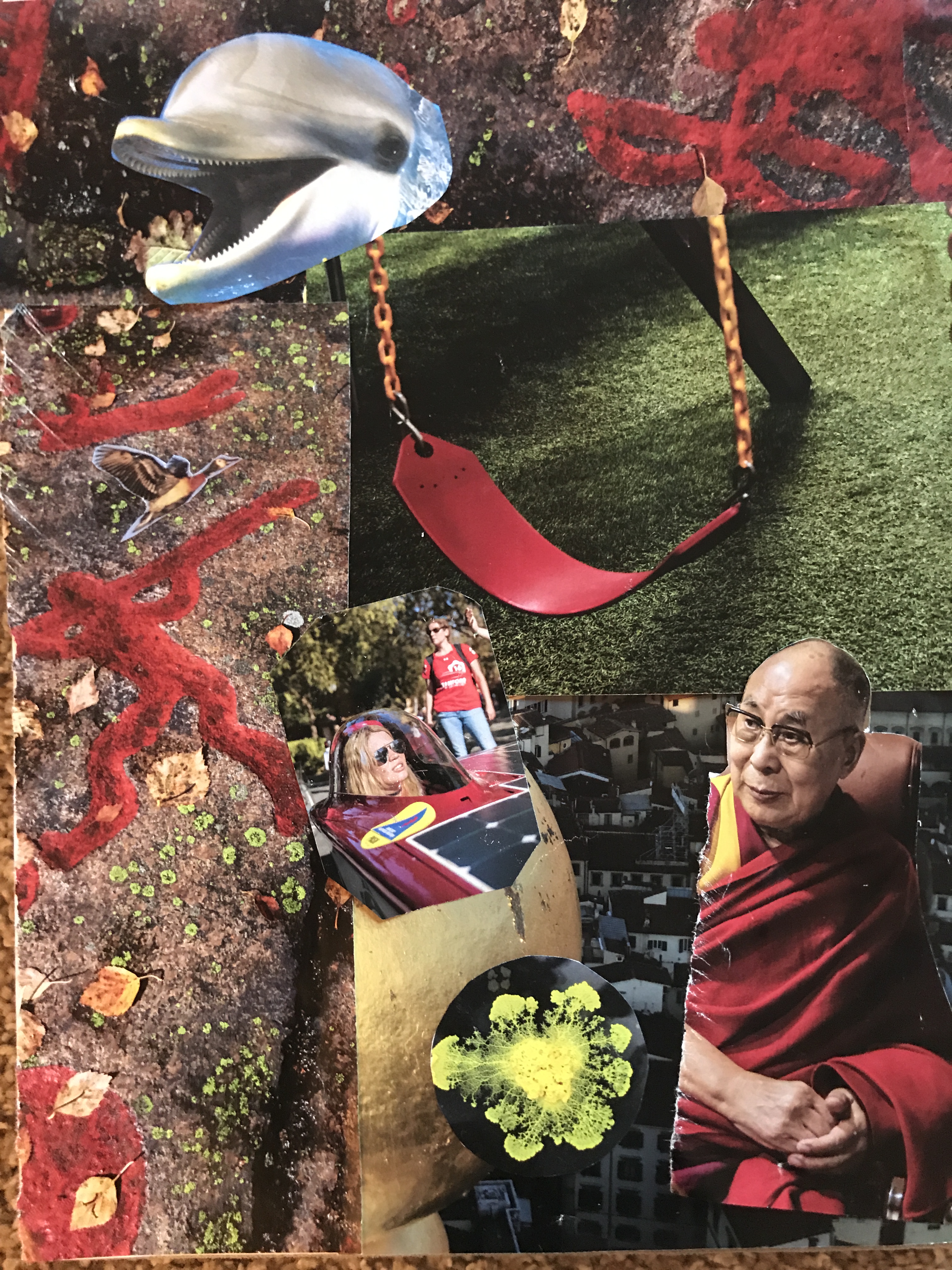 0CA21A8E-078A-4FDD-AEE1-9F10DA2B288C