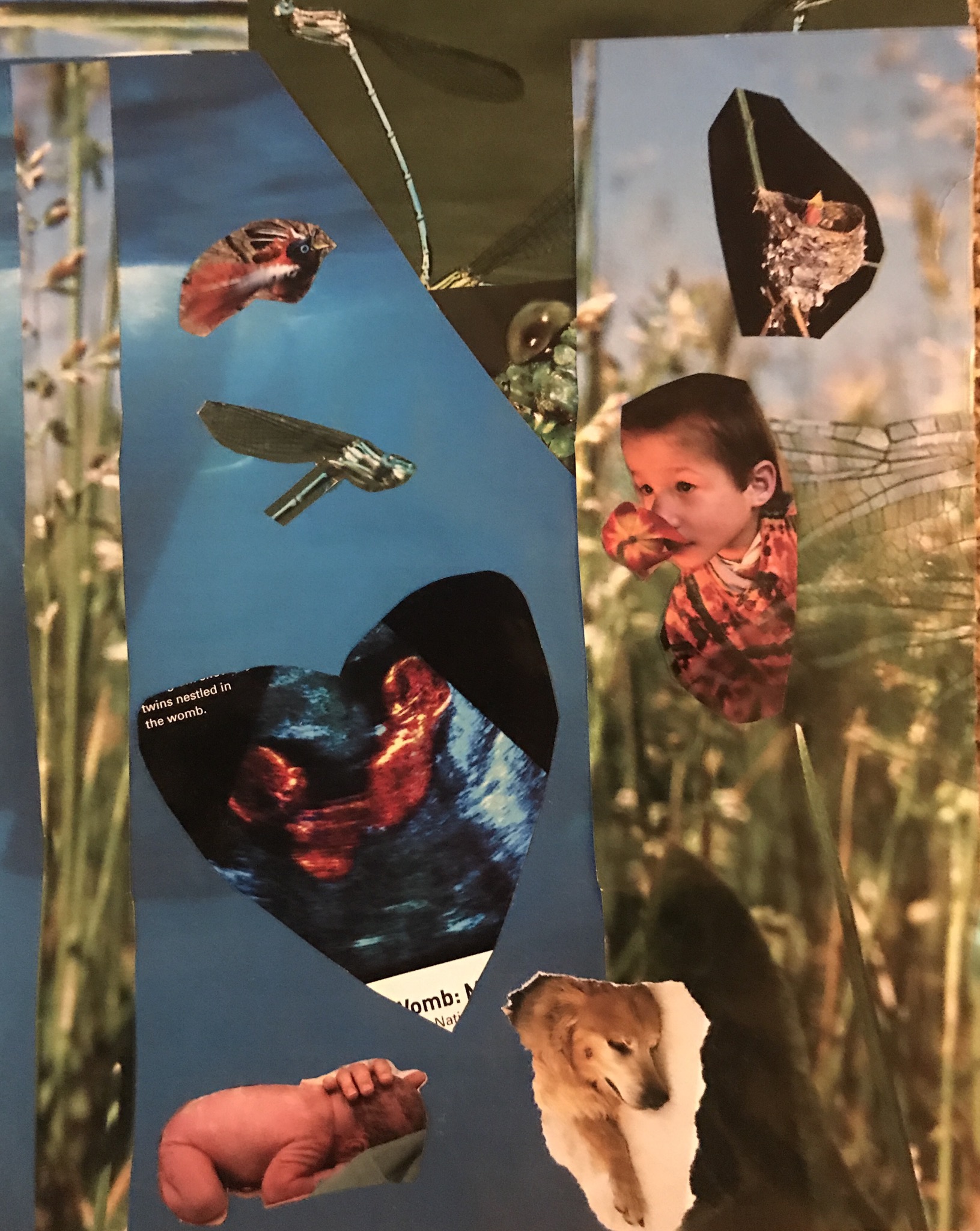 6DC9C05E-A281-4EB6-B53C-709202076358