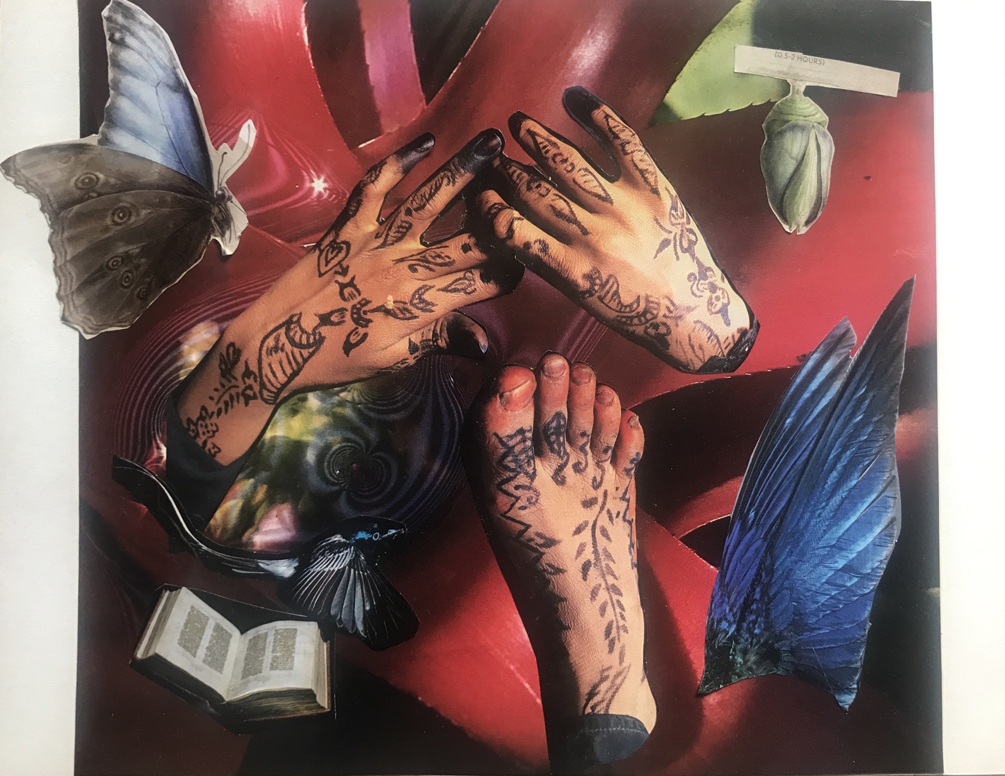 E8E084E8-6B7D-4357-9DB7-123915AD1855