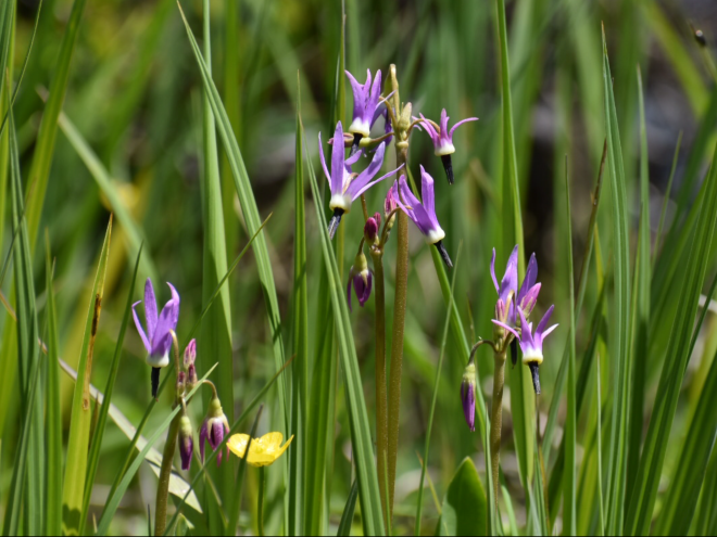 B81BD822-826B-4E77-B158-D371B684B1EC