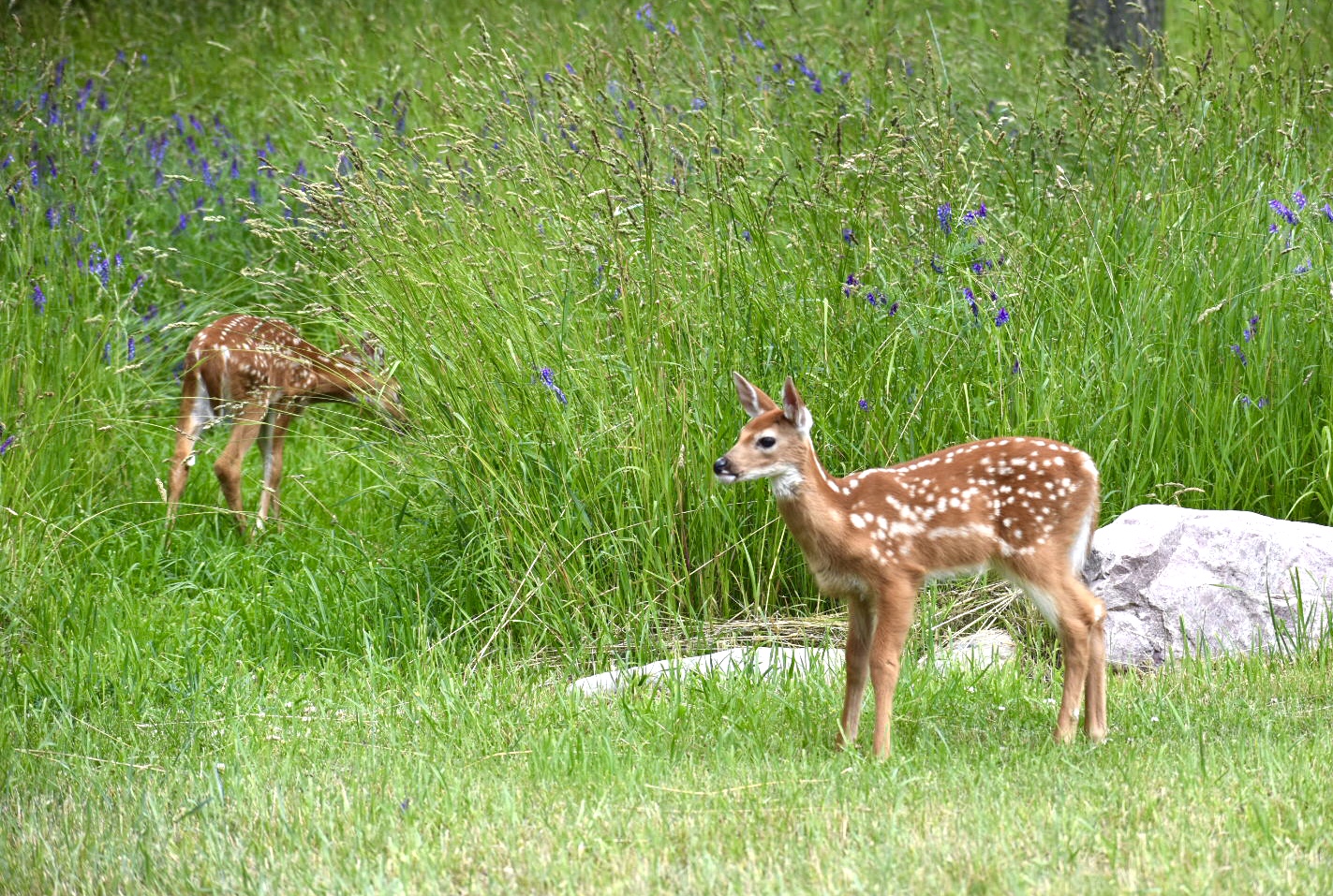 75A76FC7-934F-47BB-A271-5E75ACCD618C